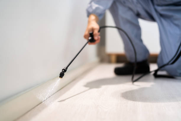 Certified termite inspector examining foundation in Ennis