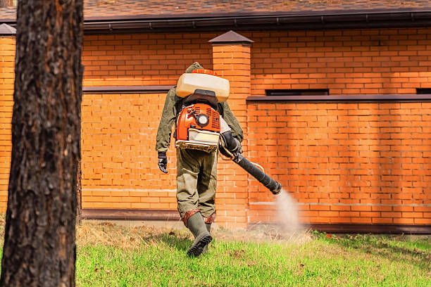 Top rated local Mosquito Control specialists in Ennis, TX